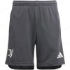 Juventus 3e Voetbalshorts 23/24